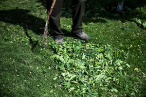 Mantenimiento de Jardines en Donostia San Sebastián, Irun, Hondarribia, Hendaya y alrededores